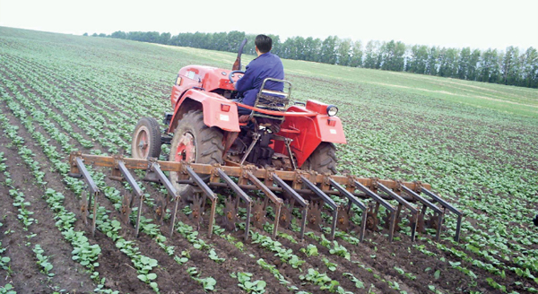 Cultivator-machine-plow-tip—1.jpg